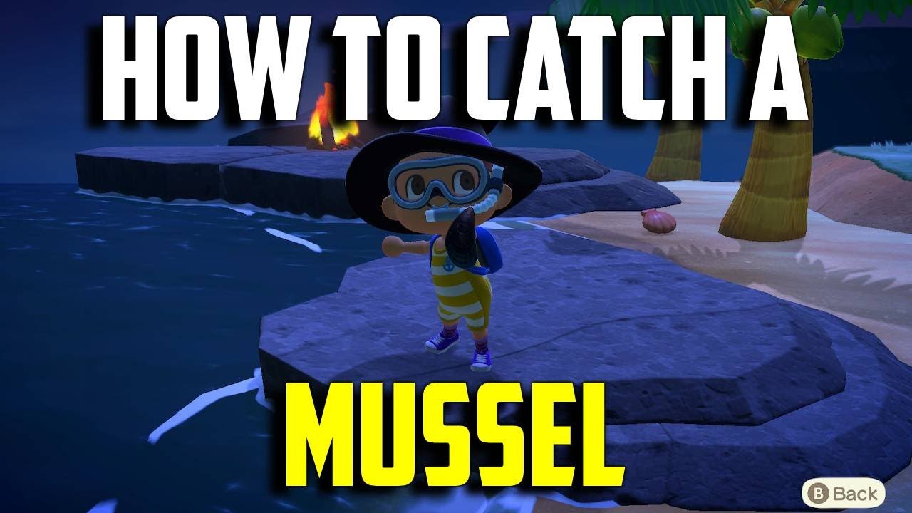 Mussels in Animal Crossing: How to Catch and Use Them