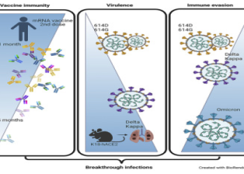 How Average Damage Delta per Round Can Elevate Your Performance