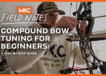 Small Game Arrows： Essential Gear for Accurate Shots