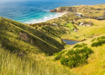 Explore the Untamed Beauty of Waking Shores Wild Coast