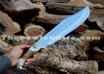 Mastering the D2 Point of the Stag： Tips for Optimal Performance