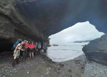 Discover the Wild Coast in WoW’s Waking Shores Adventure