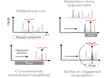 Understanding CDL Gas Rules and Strategies for Competitive Edge