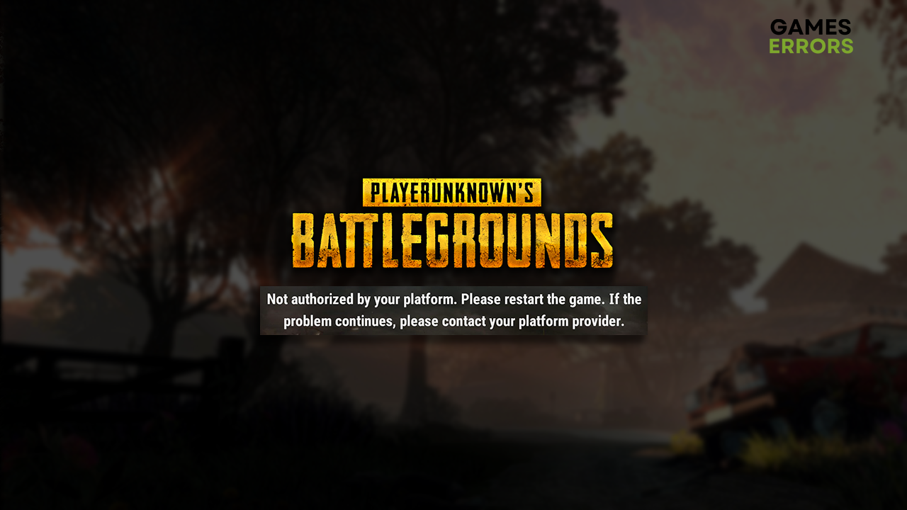 Troubleshooting PUBG: Not Authorized by Your Platform Issue