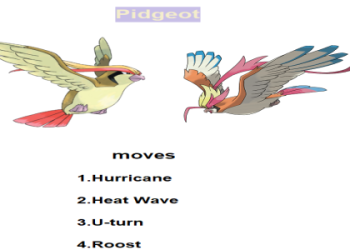 How to Mega Evolve Pidgeot: Best Movesets and Counters for Mega Pidgeot
