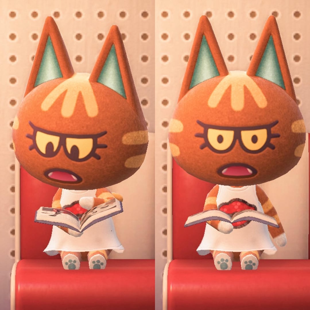 Discover Katt in Animal Crossing: Personality, Traits, and Fun Facts