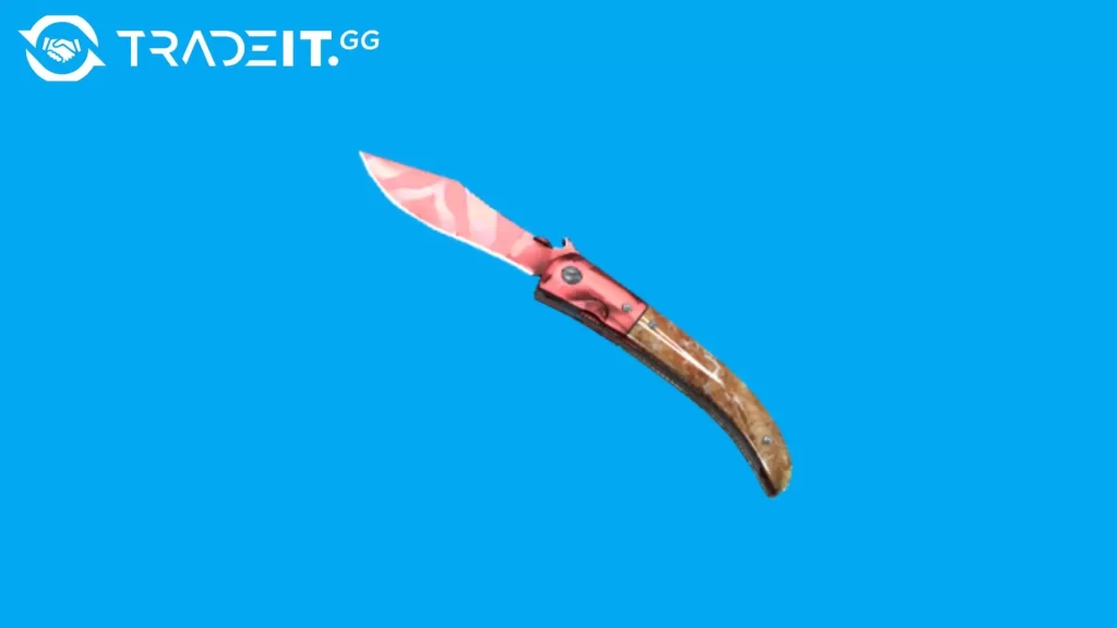 Find the Cheapest Knife in CS: Unbeatable Prices for CS2 Skins and Knives