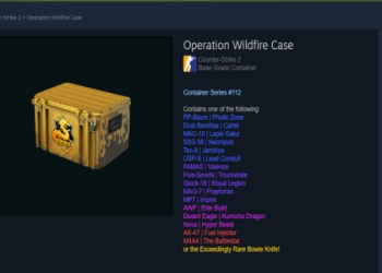 What Is the Best CS:GO Case to Open for Maximum ROI in 2024?