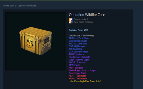What Is the Best CS:GO Case to Open for Maximum ROI in 2024?