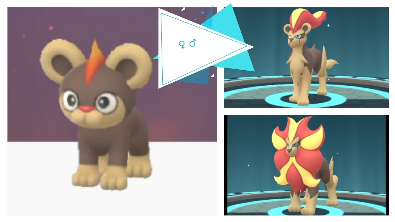 How to Evolve Pyroar in Pokémon GO: Tips and Strategies
