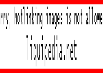 Christopher Sexton: Apex Legends Pro Player Profile and Achievements