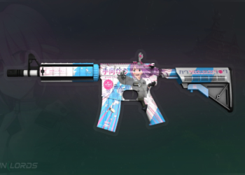 Fracture Case Price Analysis: Updated Market Insights for 2024