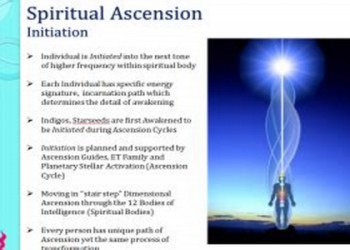 Kevin Mac Allister FIFA 23 Rating, Stats, and Potential Revealed