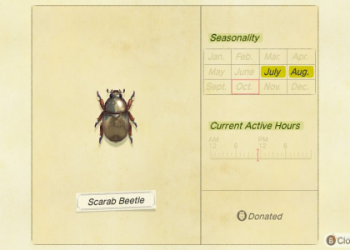 ACNH December Bugs and Fish List: Complete Your Critterpedia!