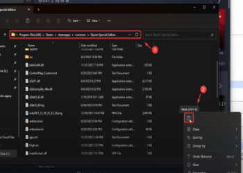 Skyrim Black Screen After Loading? Heres a Guide to Solve This Annoying Problem