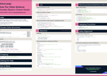 How to Use SPT Cheats (Easy Guide for Beginners)