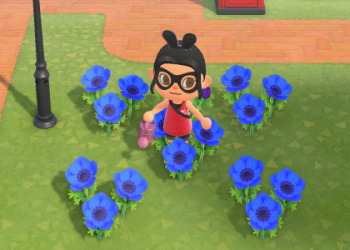 Purple Mums ACNH: Breeding Guide and Hybridization Tips