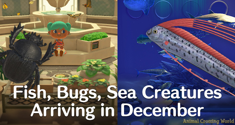 ACNH Bugs December: What Bugs Can You Catch? Find Out Here!