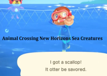 Dungeness Crab in ACNH: Tips and Tricks for a Successful Catch