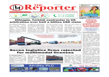 Veigo Counters and Weaknesses: Stop Him in His Tracks (A Quick Guide)