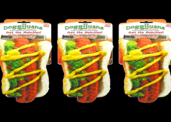 Get Your Naughty Dog Merch: Hot Deals Inside!