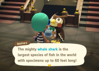 Where to Find Fish in December Animal Crossing Guide!