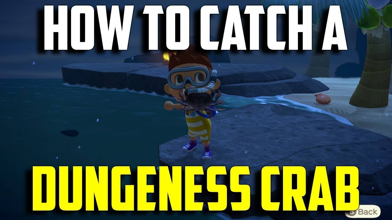 Dungeness Crab in ACNH: Tips and Tricks for a Successful Catch