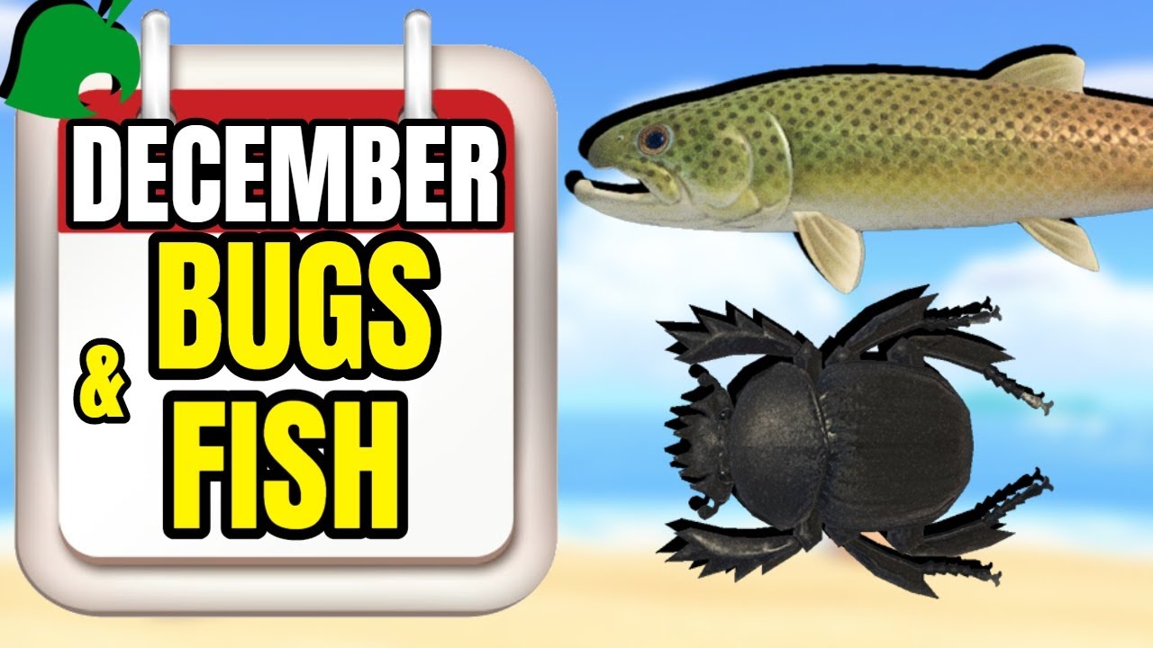 Where to Find Fish in December Animal Crossing Guide!