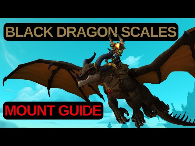 Best Builds for Black Scales Dragonflight (Easy Guide)