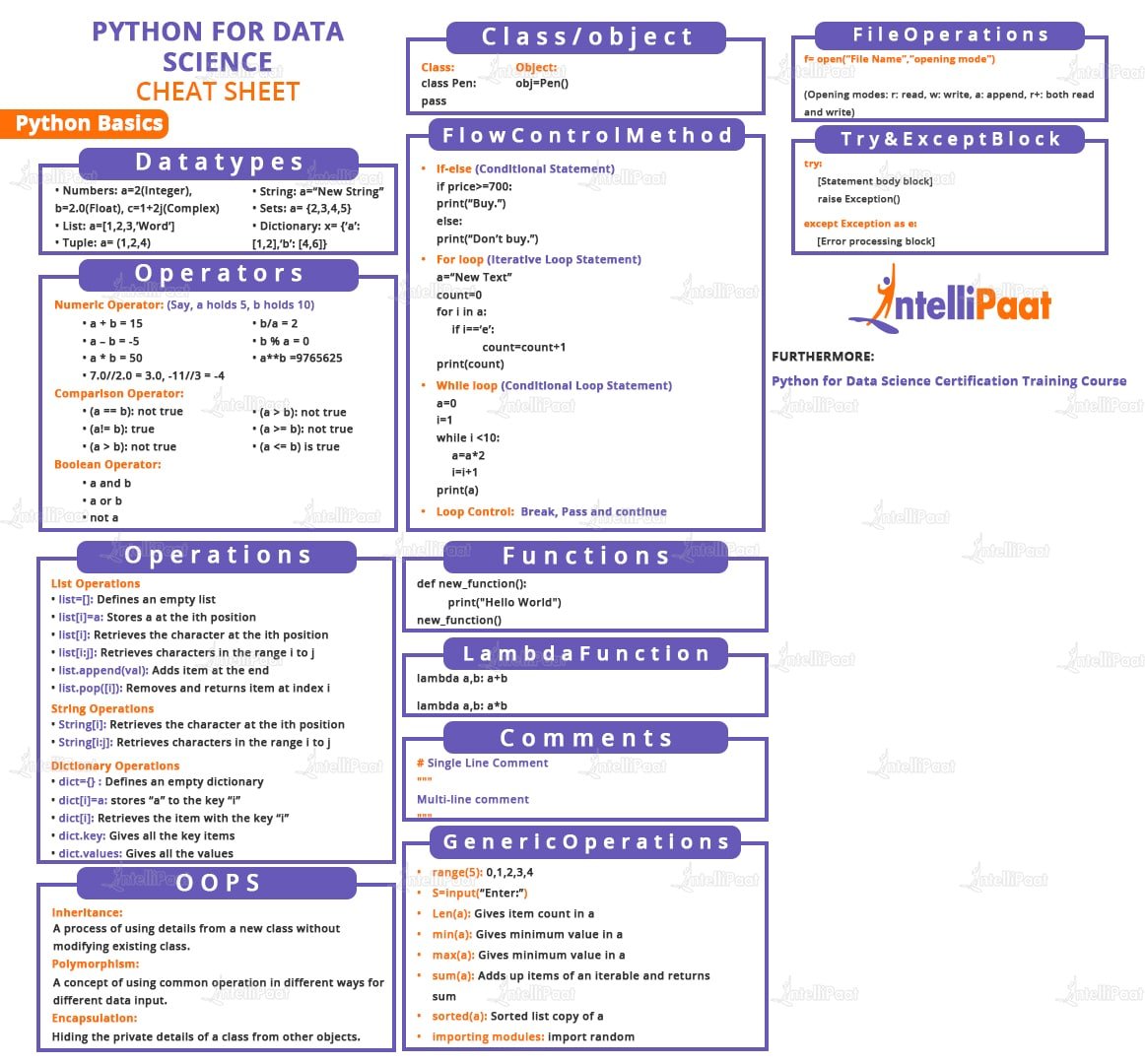 How to Use SPT Cheats (Easy Guide for Beginners)