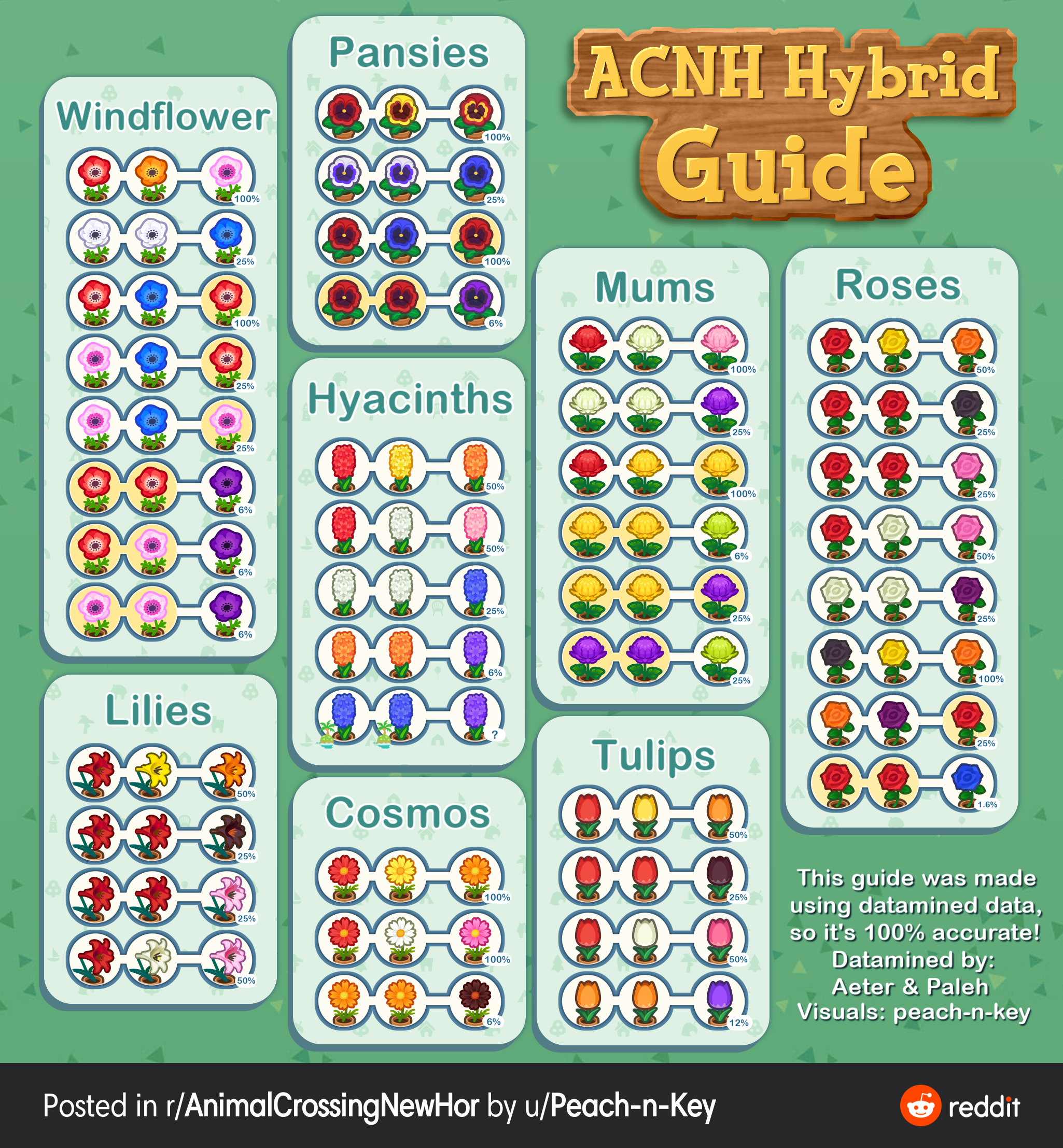 Purple Mums ACNH: Breeding Guide and Hybridization Tips