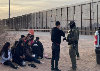 All Level Borders League: Teams, Schedules, and Standings