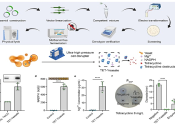 T1 Xeta: How did Xetas joining impact T1s overall performance?
