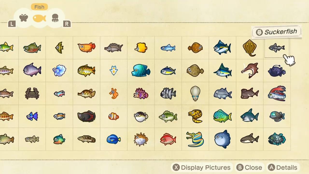 ACNH December Bugs and Fish List: Complete Your Critterpedia!