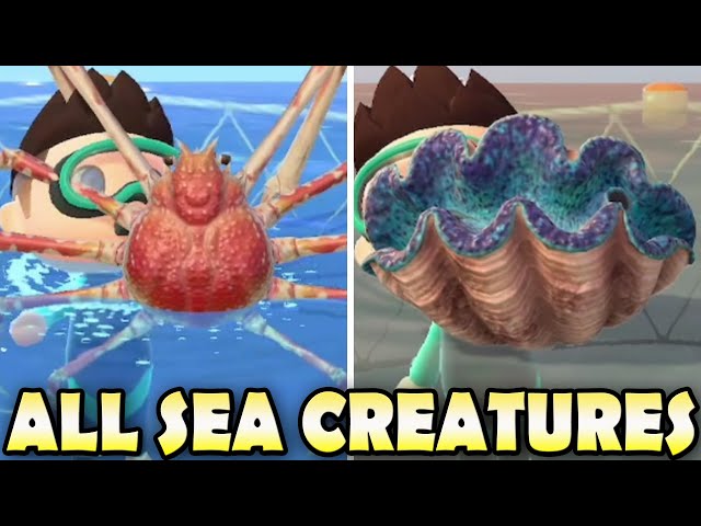 ACNH Abalone: Where to Find Them? Easy Guide to Get This Rare Sea Creature Fast!