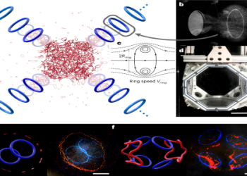 How Much Is Spectrum Phantom? (Find out if it fits your budget)