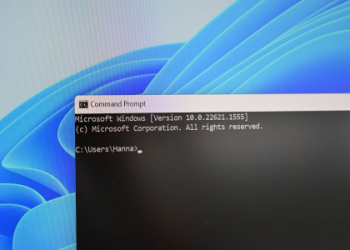 Dealing With DBL Servers Down: A Simple Guide for Users
