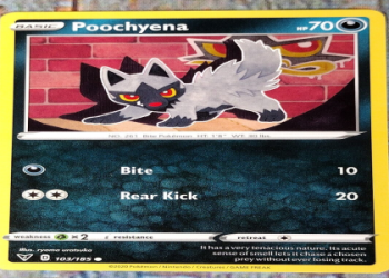 Poochyena Pokemon Go: Is it rare? Catching tips here!