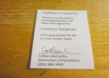 Camilles Collection: Is It Worth Your Money?