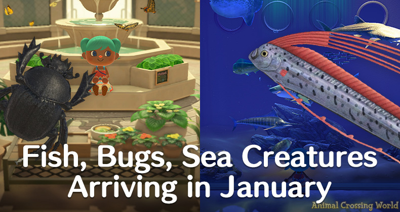 Animal Crossing New Horizons January Sea Creatures: Dont Miss Out!