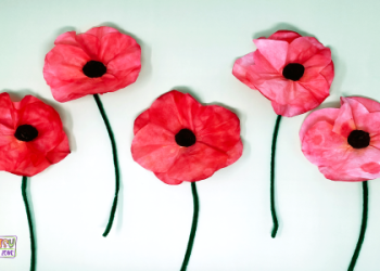 Poppy Splash Art: Check Out the Awesome New Look!