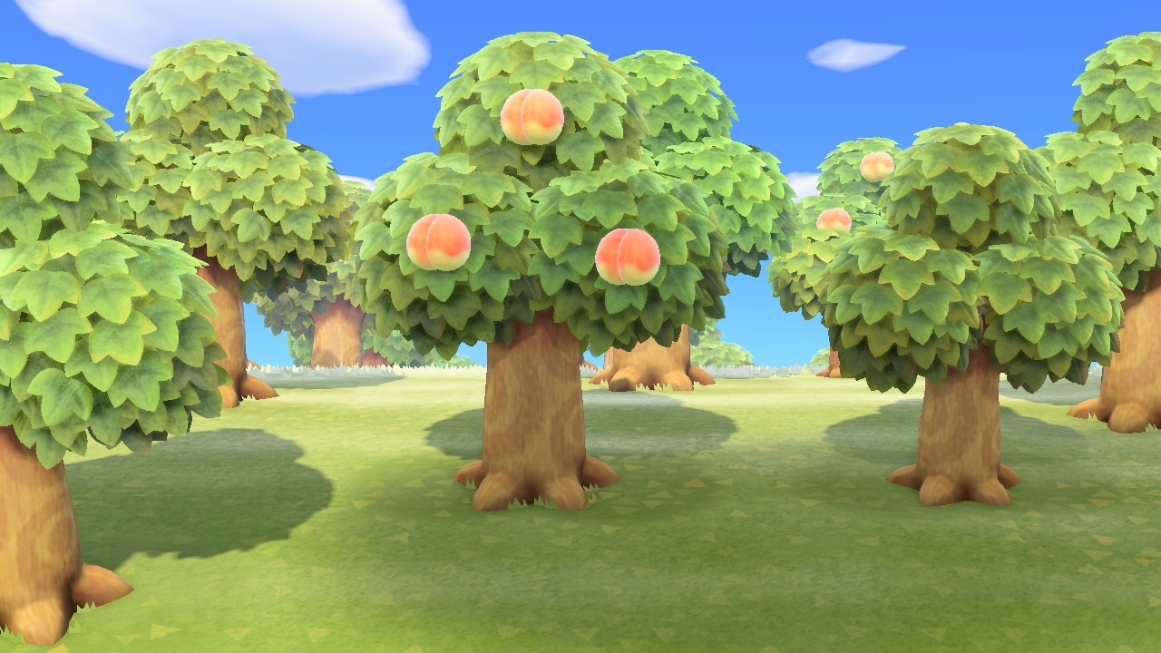 Where to Find Hardwood Trees ACNH? This Guide Shows You!