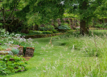 Using grass steel types: A quick start guide for everyone.