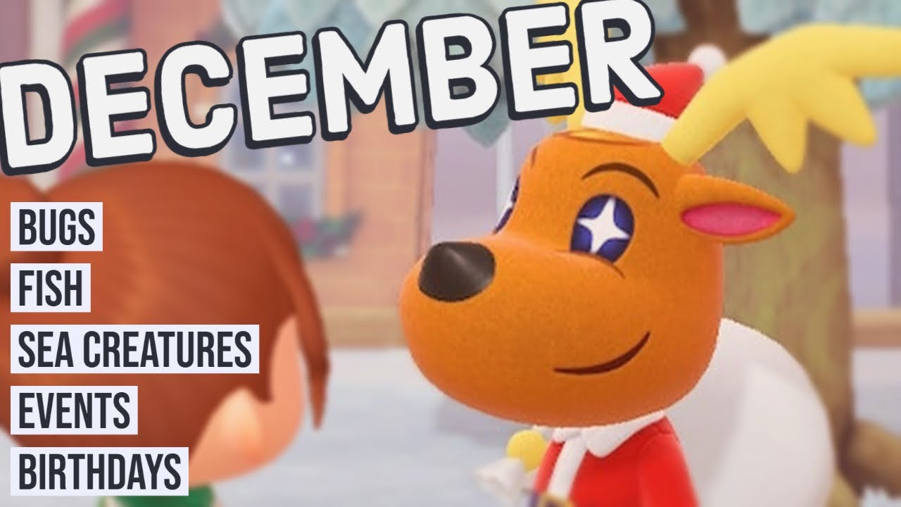 ACNH December Bugs: Whats New This Holiday Season?