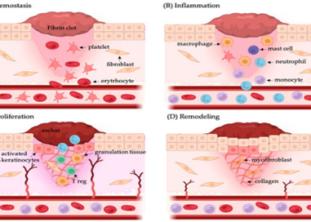 Cheap Shen Skins: Great Options on a Budget Now!