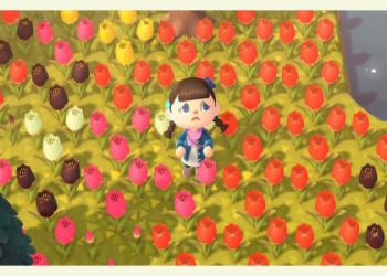 Where to Buy ACNH Fence: Easy Ways to Get Fences Fast