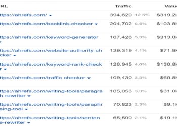 EpikWhale Earnings: What to Expect? (Honest Insights from Experienced Users)