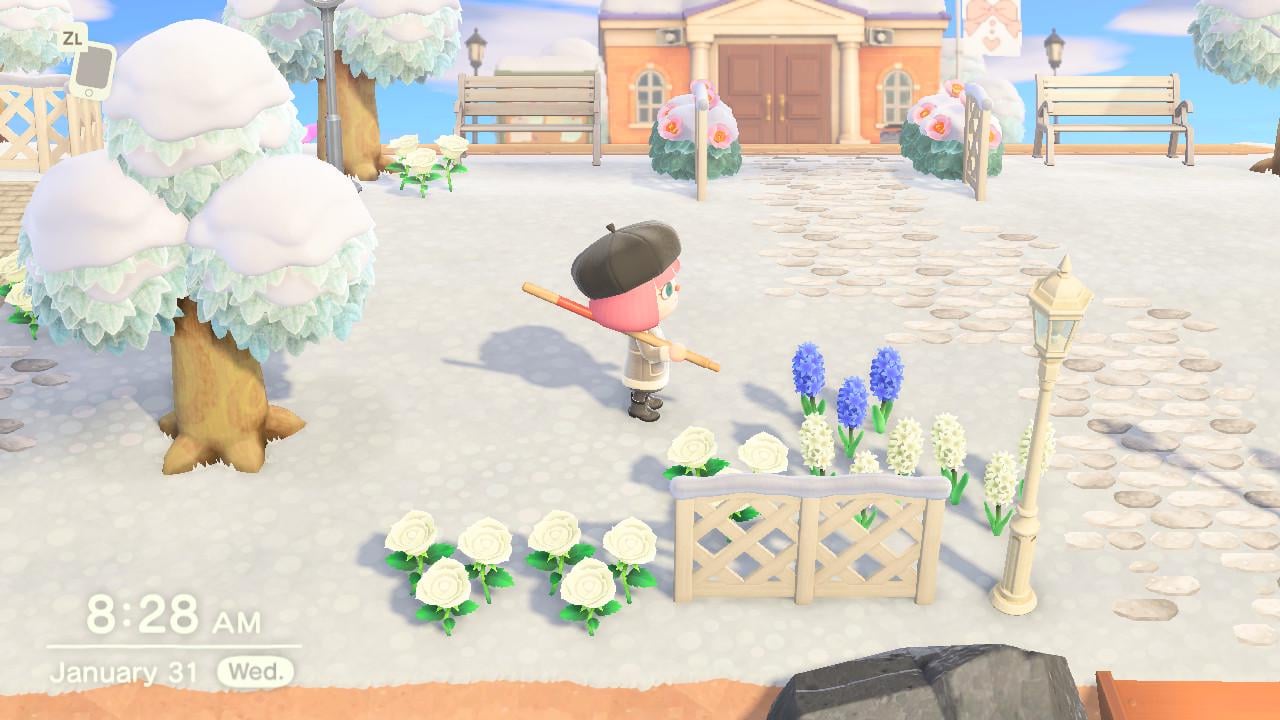 Want White Hyacinth in Animal Crossing? (Heres the Secret to Breeding and Getting This Beautiful Flower)