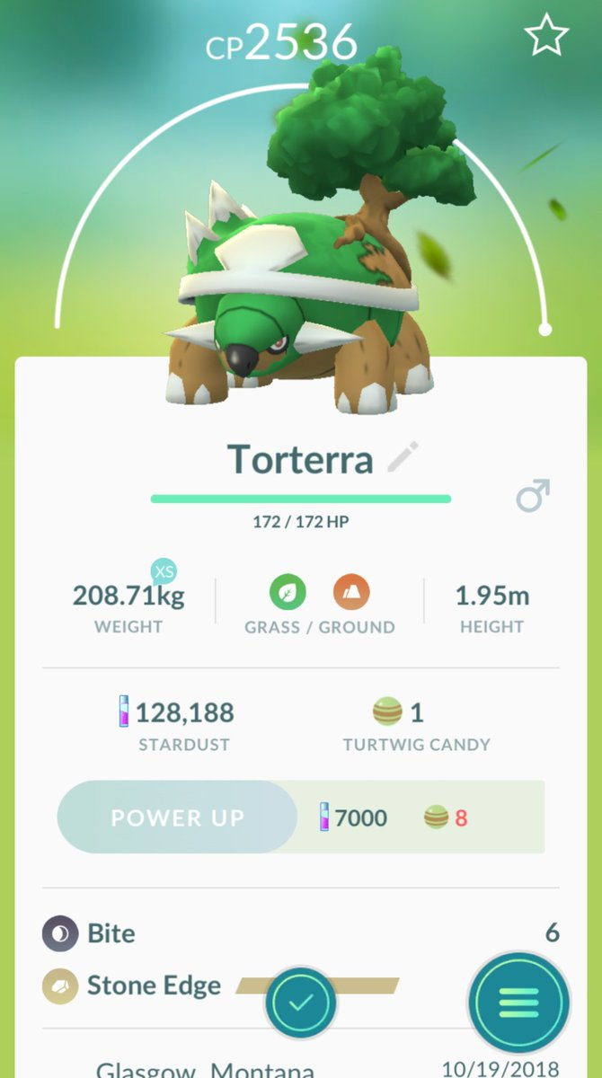 Pokemon Go Torterra Best Moveset Find Out Which Attacks Make Torterra a Powerful Pokemon