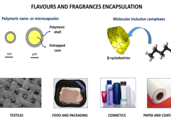 Crisis Core Perfume Blending: How to Mix Scents Like a Pro!